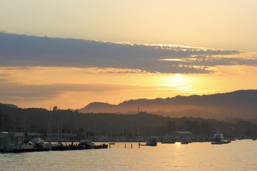 SAUSALITO SUN SET VII