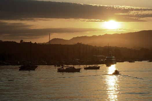 SAUSALITO SUNSET IX