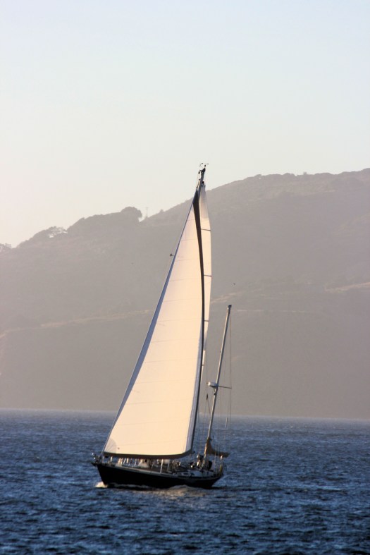 SAILING THE SAN FRANCISCO BAY III