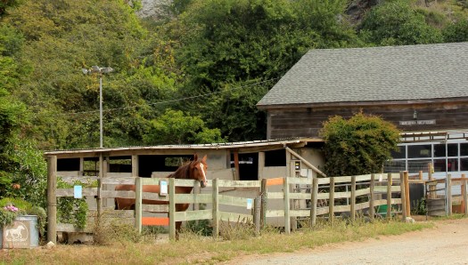 JUST A PLACE AND A FRIENDLY PLACE ON A HILL SIDE