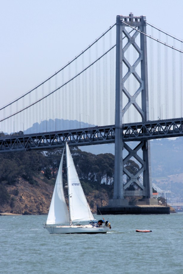 SAILING BY THE BAY BRIDGE