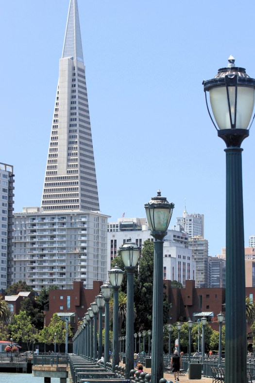 CITY OF SYMMETRY AND LINES  IV